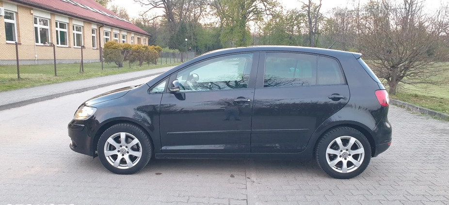 Volkswagen Golf Plus cena 17300 przebieg: 234321, rok produkcji 2007 z Białogard małe 191